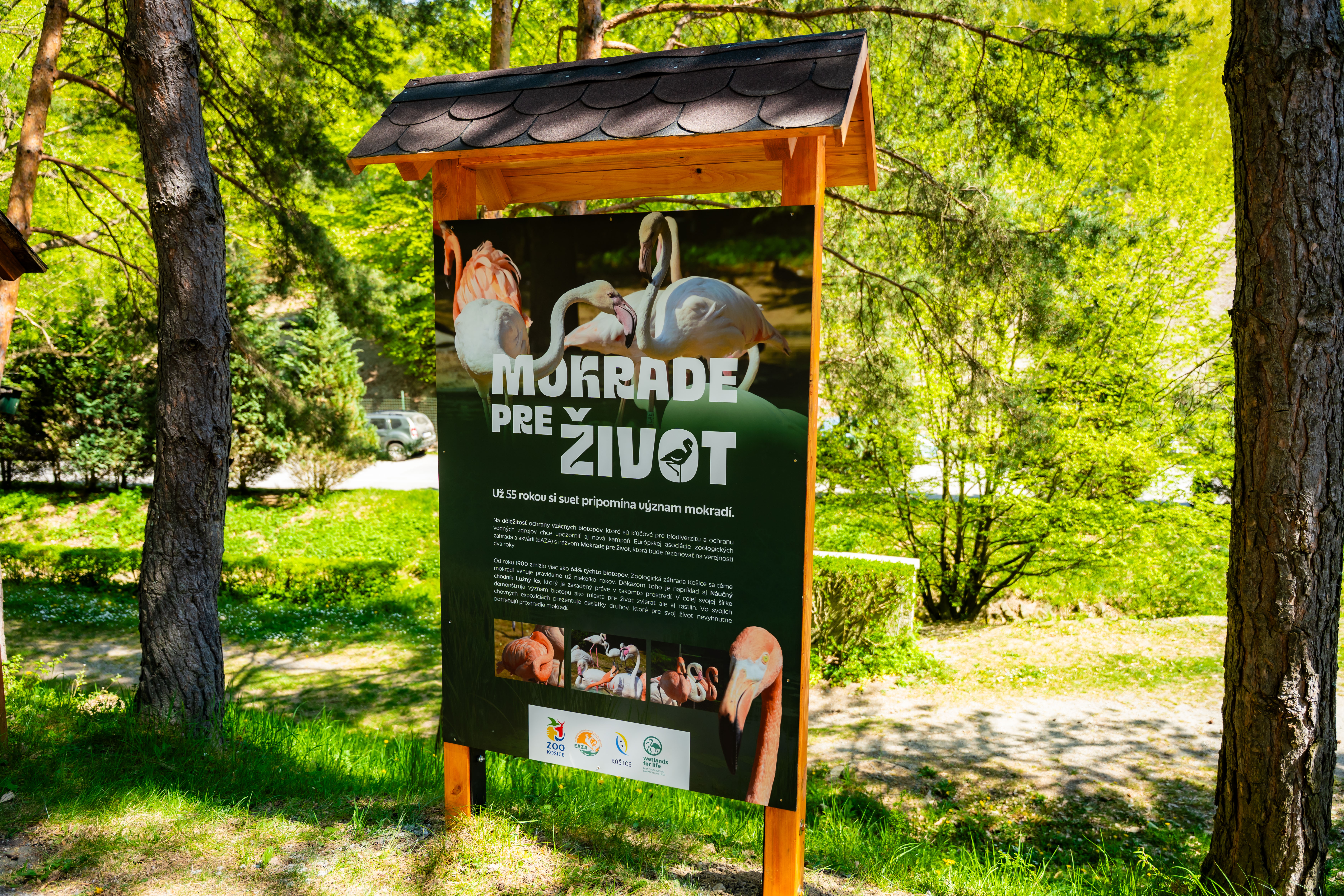 Den Zeme v Kosickej ZOO-1-7